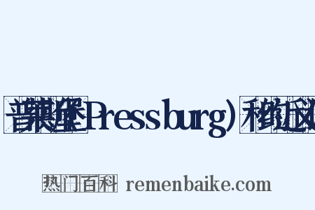 普莱斯堡(Pressburg)和约近义词是什么意思的图片